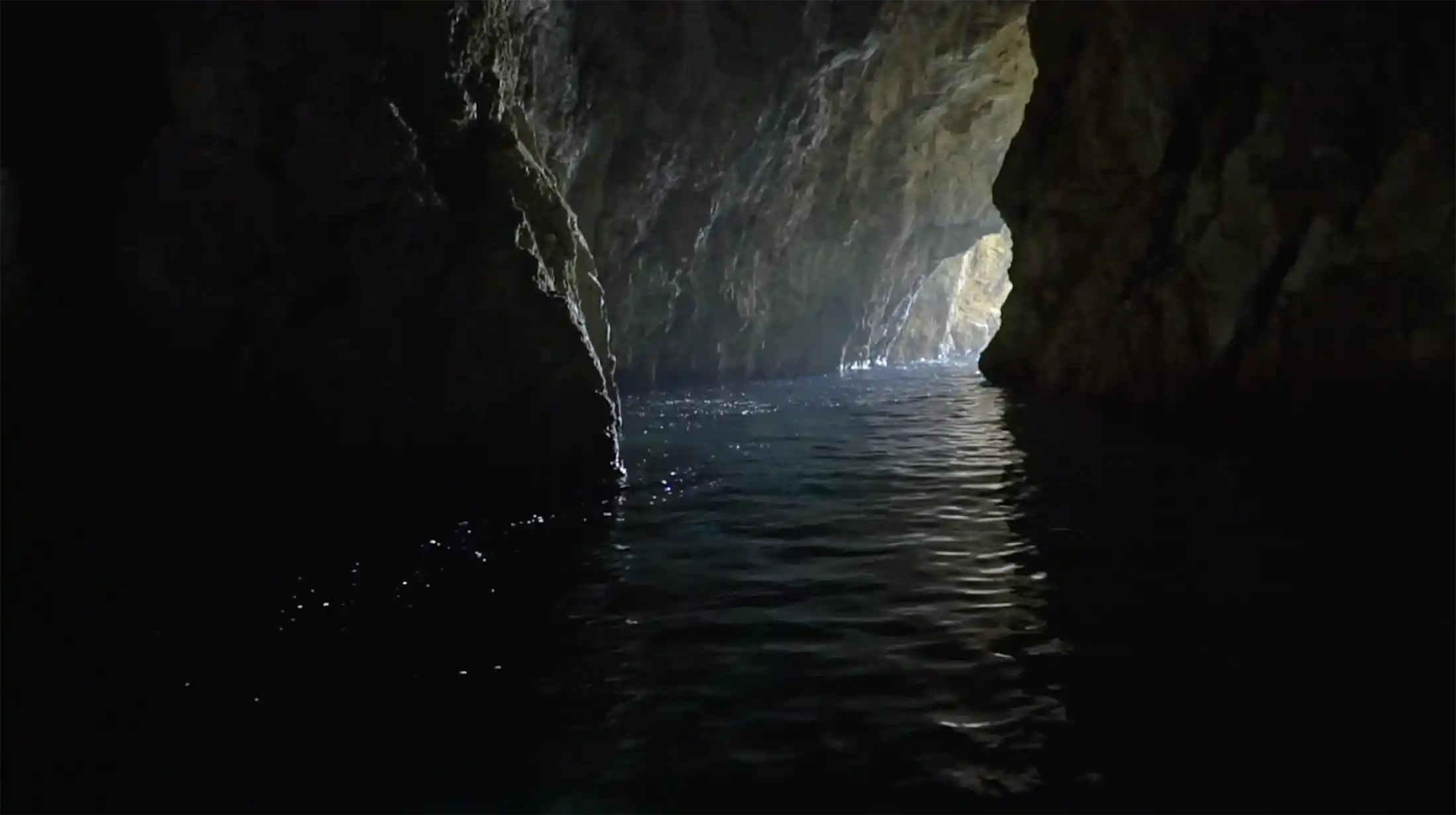Vis Tours Medvidina