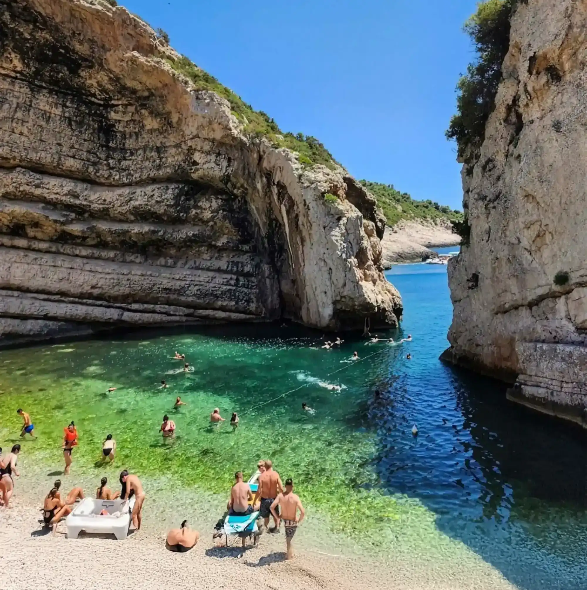 Vis Tours South Side Tour